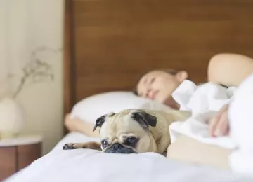 Les 5 principaux symptômes de l’apnée du sommeil