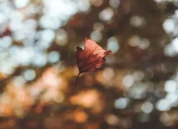 5 conseils pour éviter de se blesser durant le grand ménage d’automne