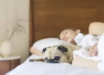 L’apnée du sommeil et son dépistage expliqué par une de nos inhalothérapeutes