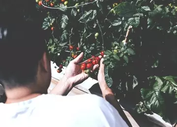 5 trucs pour éviter les blessures de jardinage