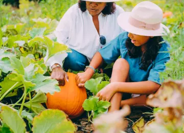 30 activités pour un automne en couleur