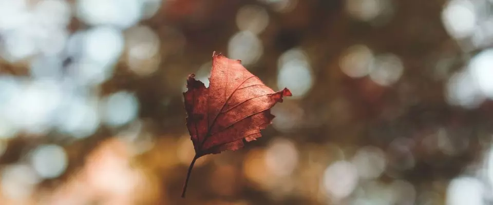 5 conseils pour éviter de se blesser durant le grand ménage d’automne