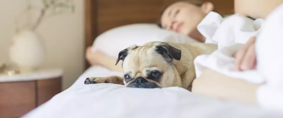 L’apnée du sommeil et son dépistage expliqué par une de nos inhalothérapeutes