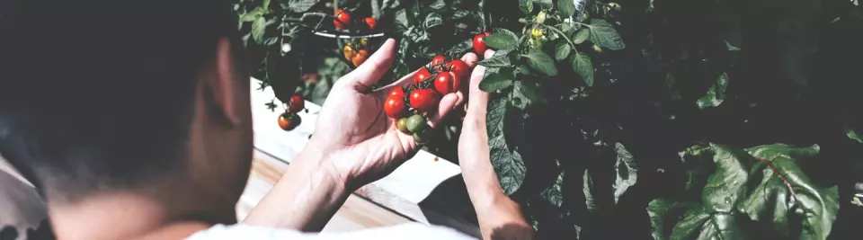 5 trucs pour éviter les blessures de jardinage