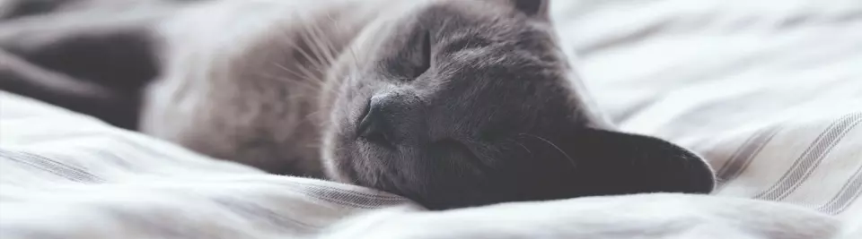 5 mythes à déboulonner sur l’apnée du sommeil
