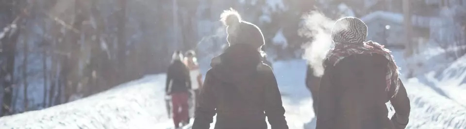 Quoi faire au Québec cet hiver?