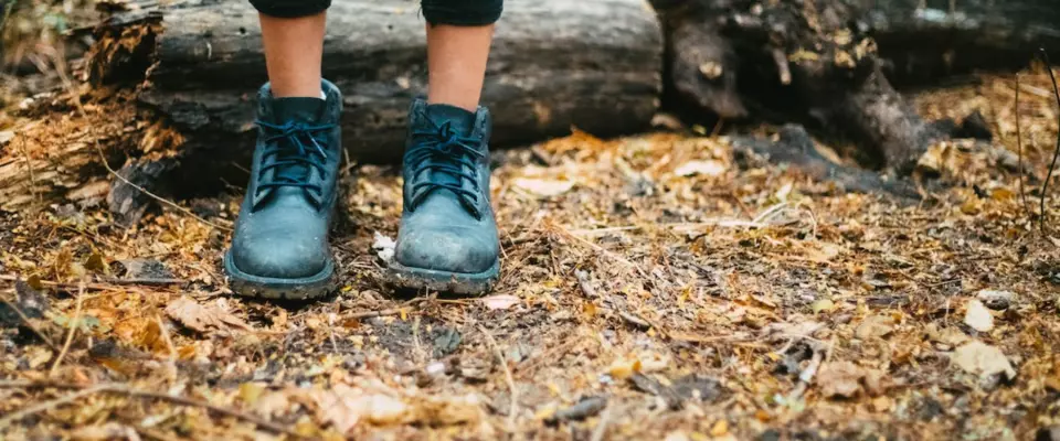 9 sentiers à visiter à l’automne