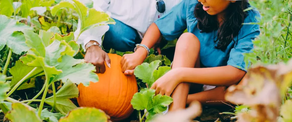 30 activités pour un automne en couleur