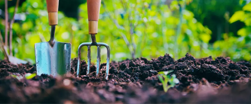 10 astuces pour jardiner à la maison